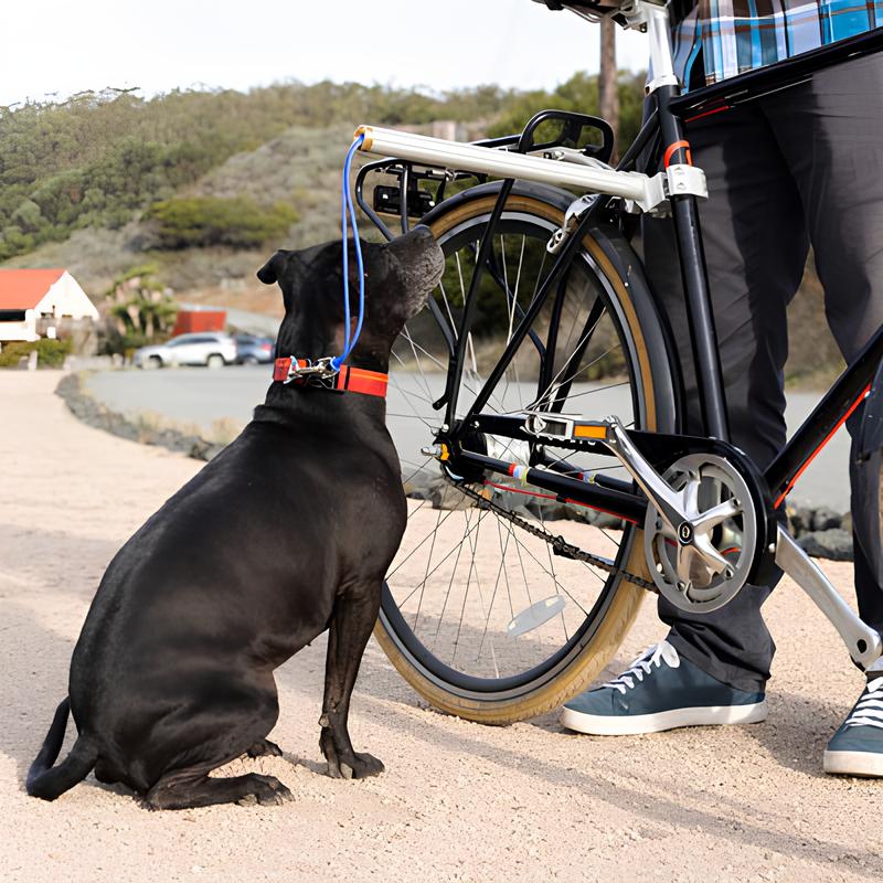 MOVED BY BIKES Dog Runner Seatpost Mount Bike Black/Silver-Pit Crew Cycles