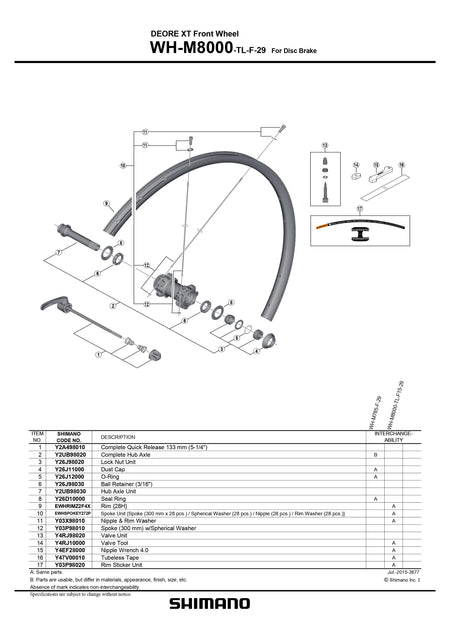 SHIMANO DEORE XT WH-M8000-TL-F-29 Front Wheel For Disc Brake Spoke 300mm with Spherical Washer - Y03P98010-Pit Crew Cycles