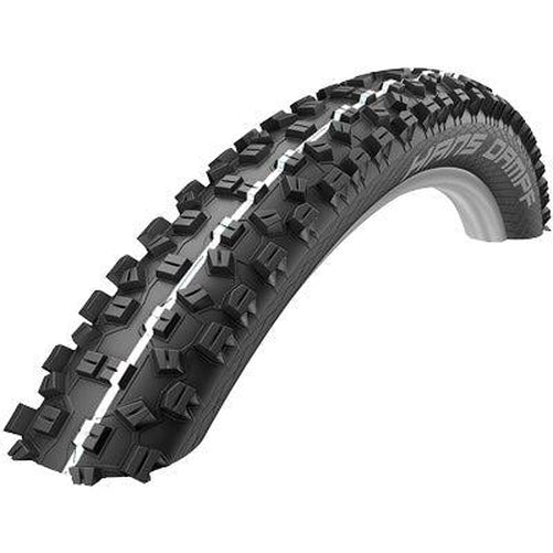 Schwalbe Hans Dampf Performance